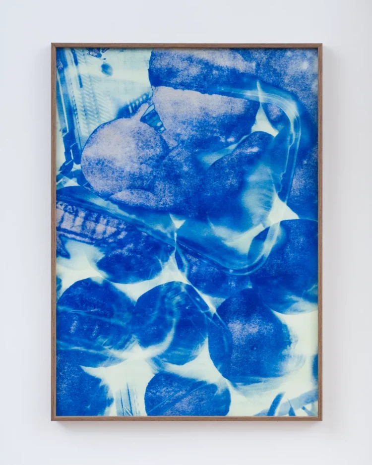 U(SN).2 - Unfixed (Synthetic Nature), 2026