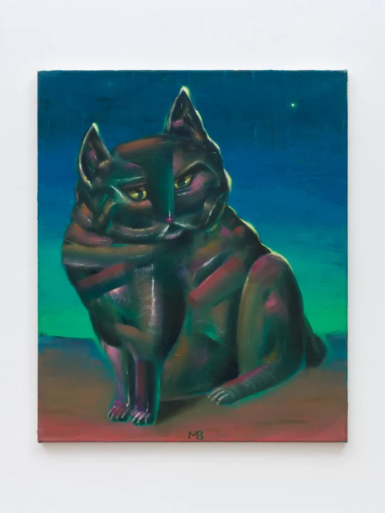black cat at black night, 2020